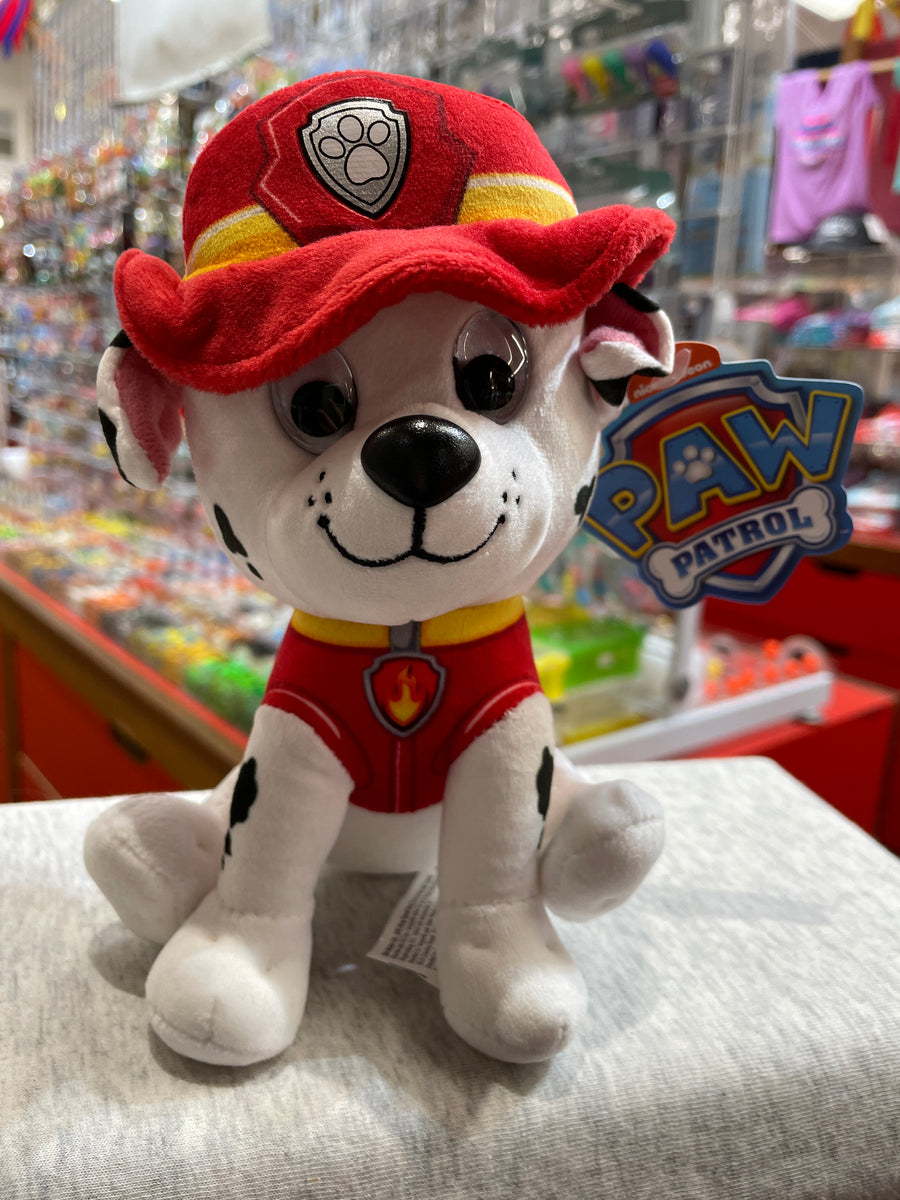 Gund Paw Patrol Zuma Plush 6 – Sausalito Ferry Co