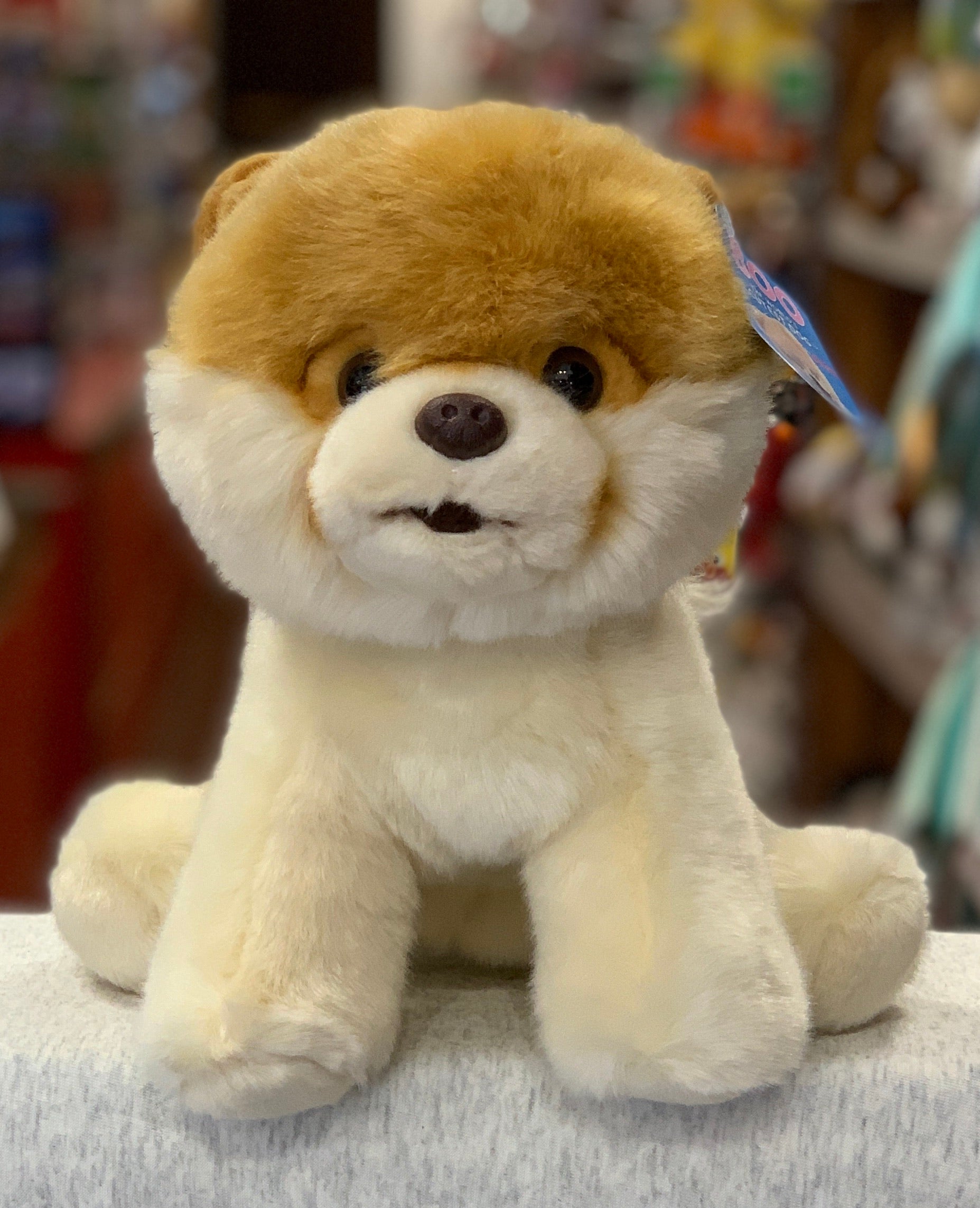 Boo the dog plush hotsell