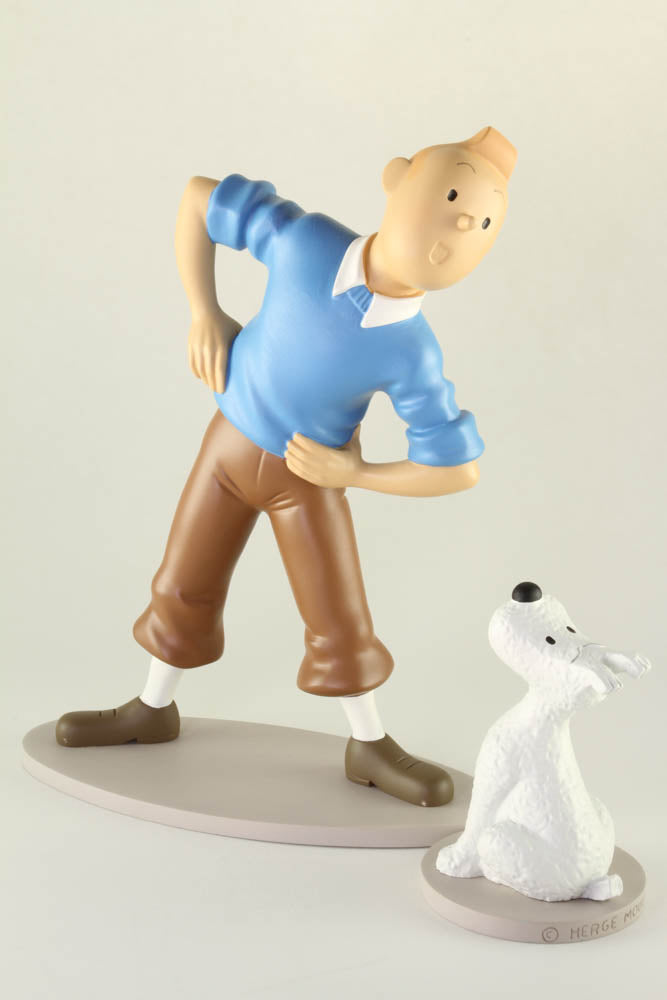 Résine 2004 - 2008 - Mes Figurines Tintin