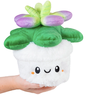 Squishable Mini Succulent