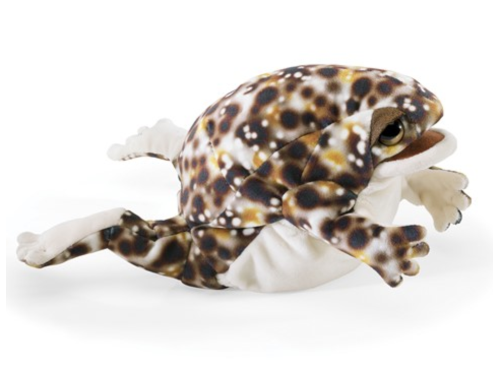 Folkmanis Desert Rain Frog Puppet 8"