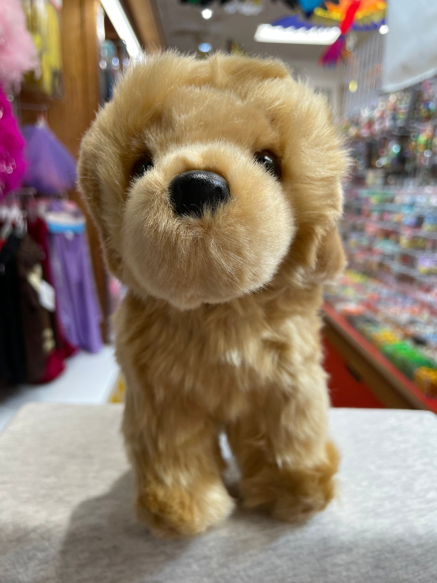 Douglas Chap Golden Retriever Plush 10"