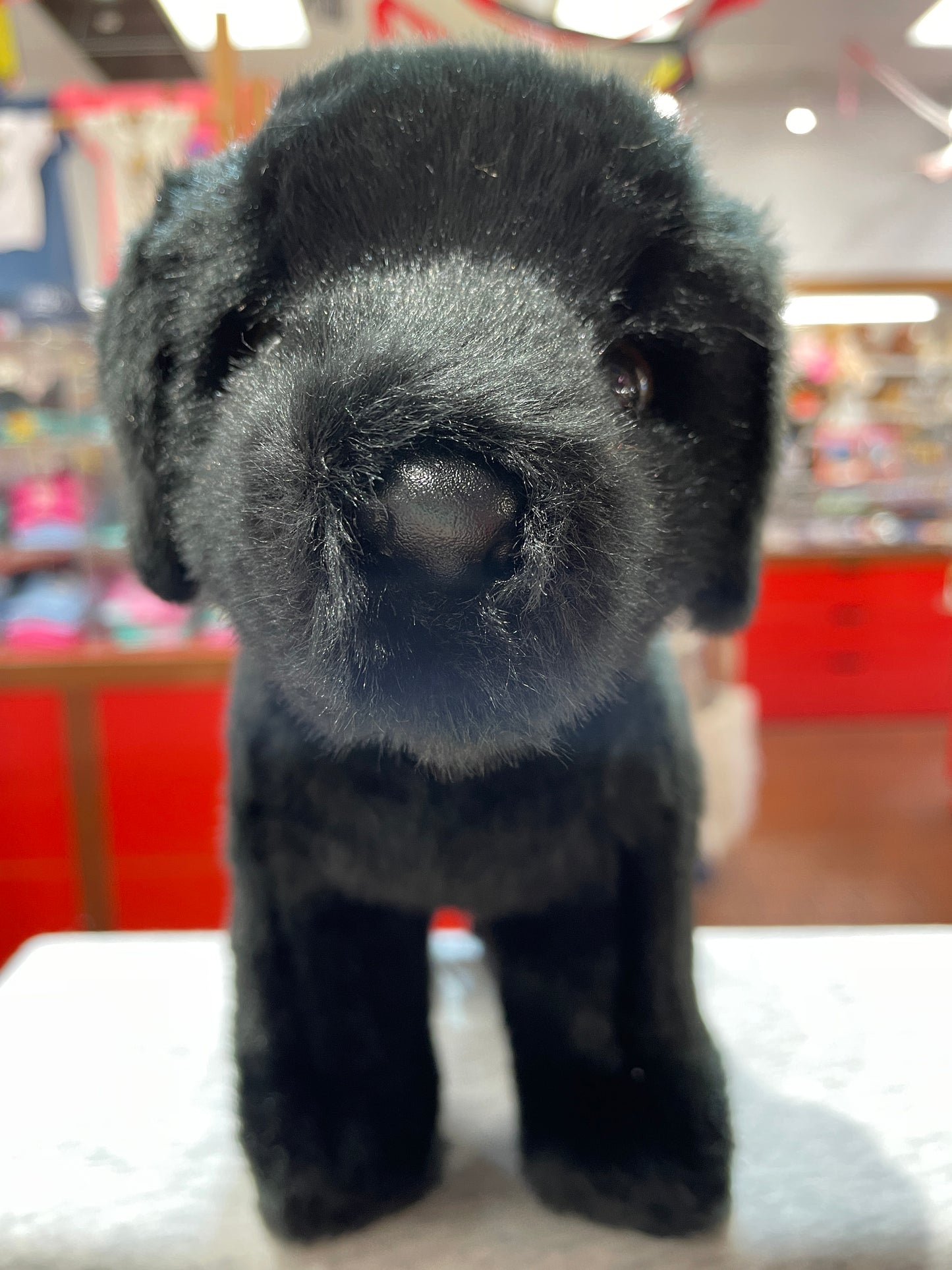 Douglas Bear Black Lab Plush 10"