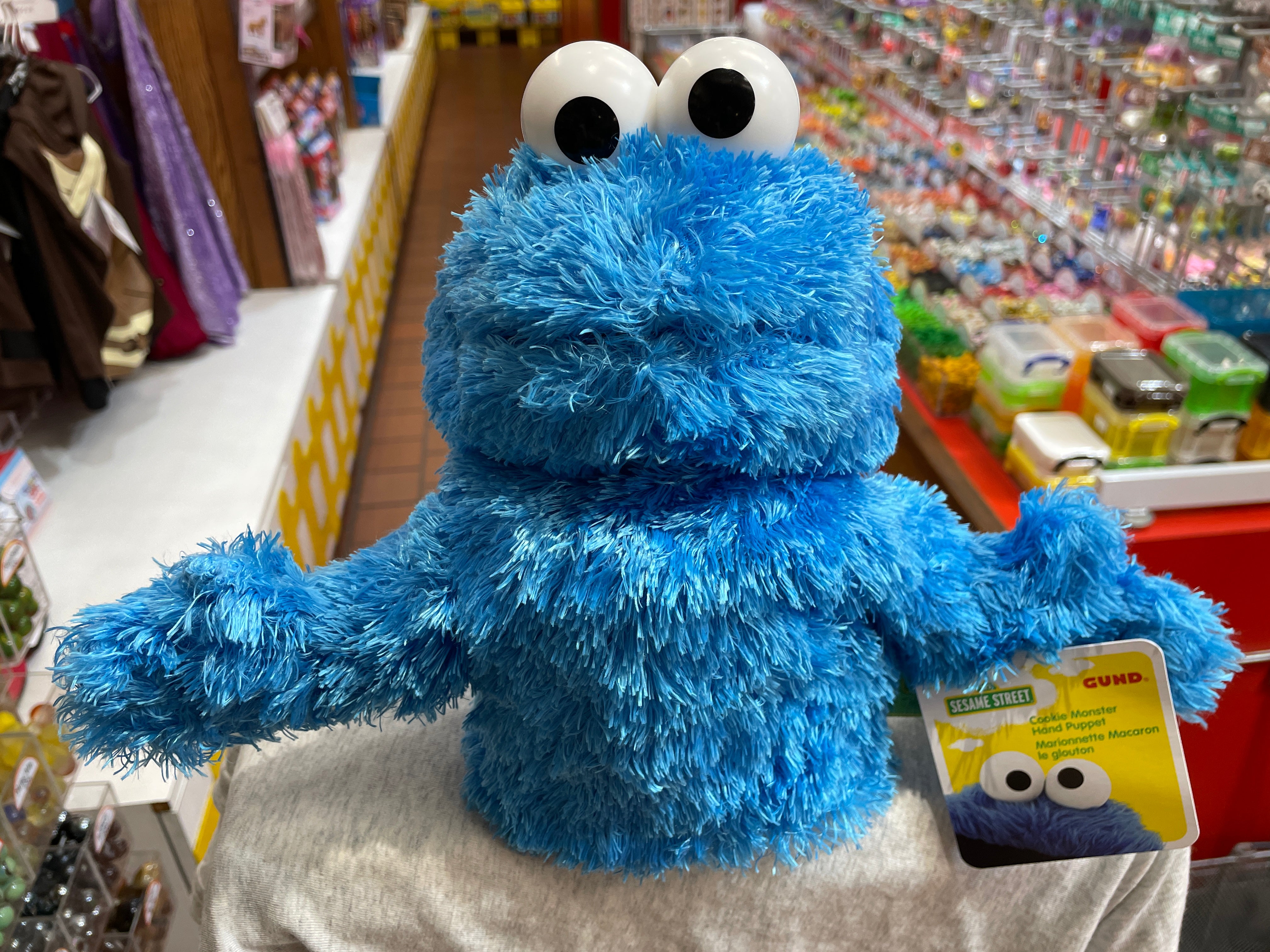 Gund - Sesame Street - Cookie Monster Hand Puppet - 10 – Jan's Bear  Essentials