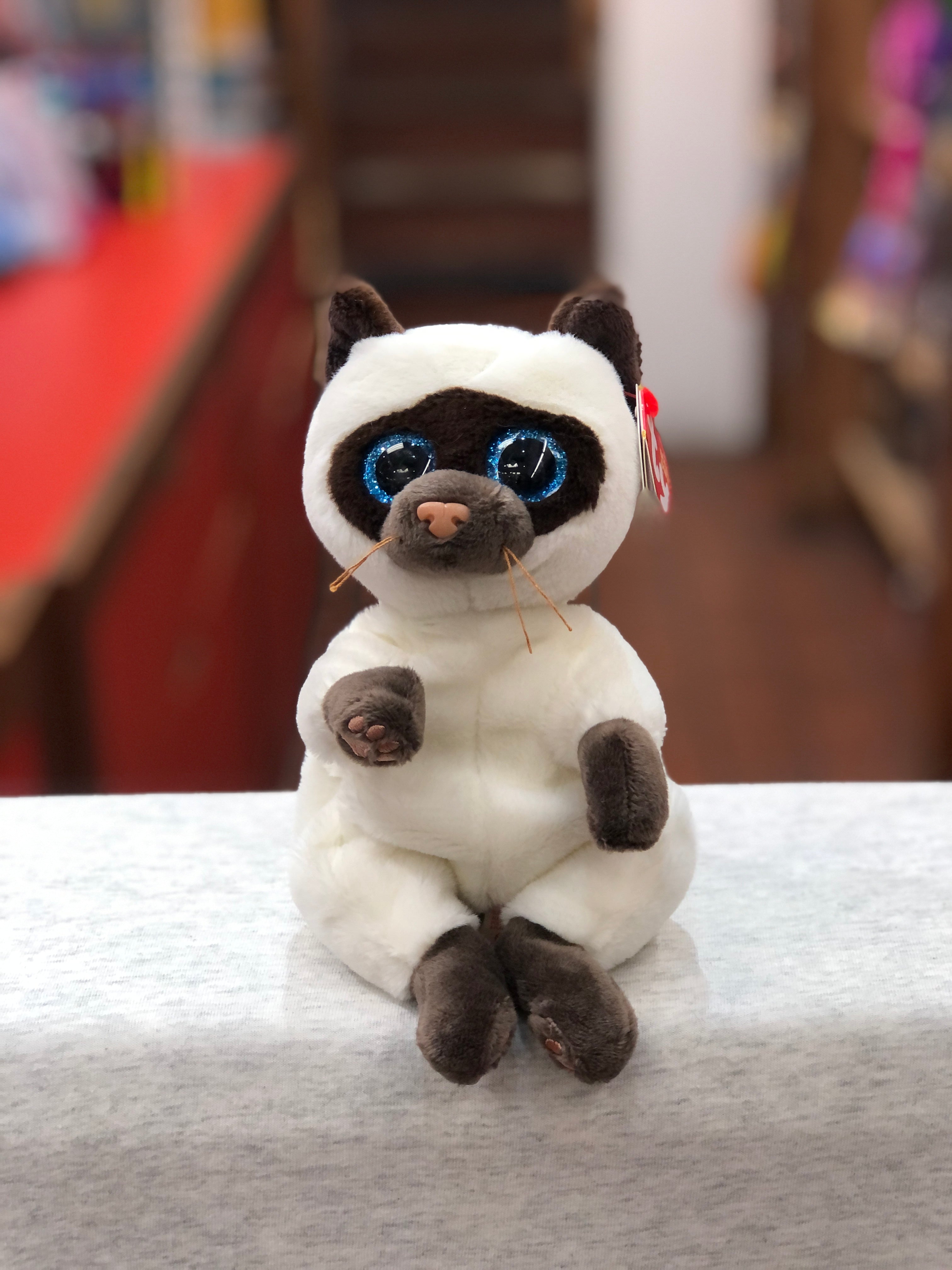 Siamese cat outlet beanie boo