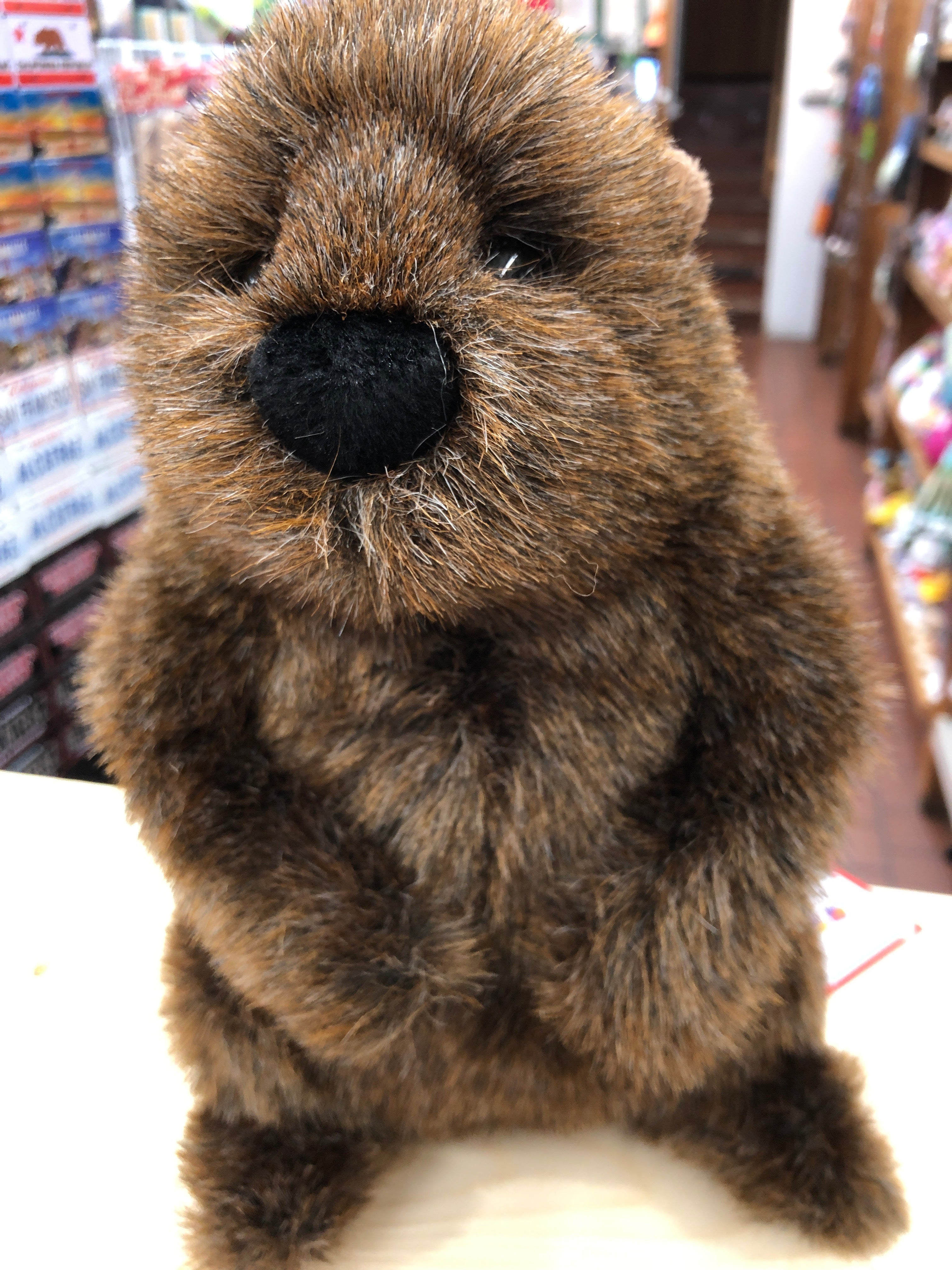 Stuffed groundhog cheap