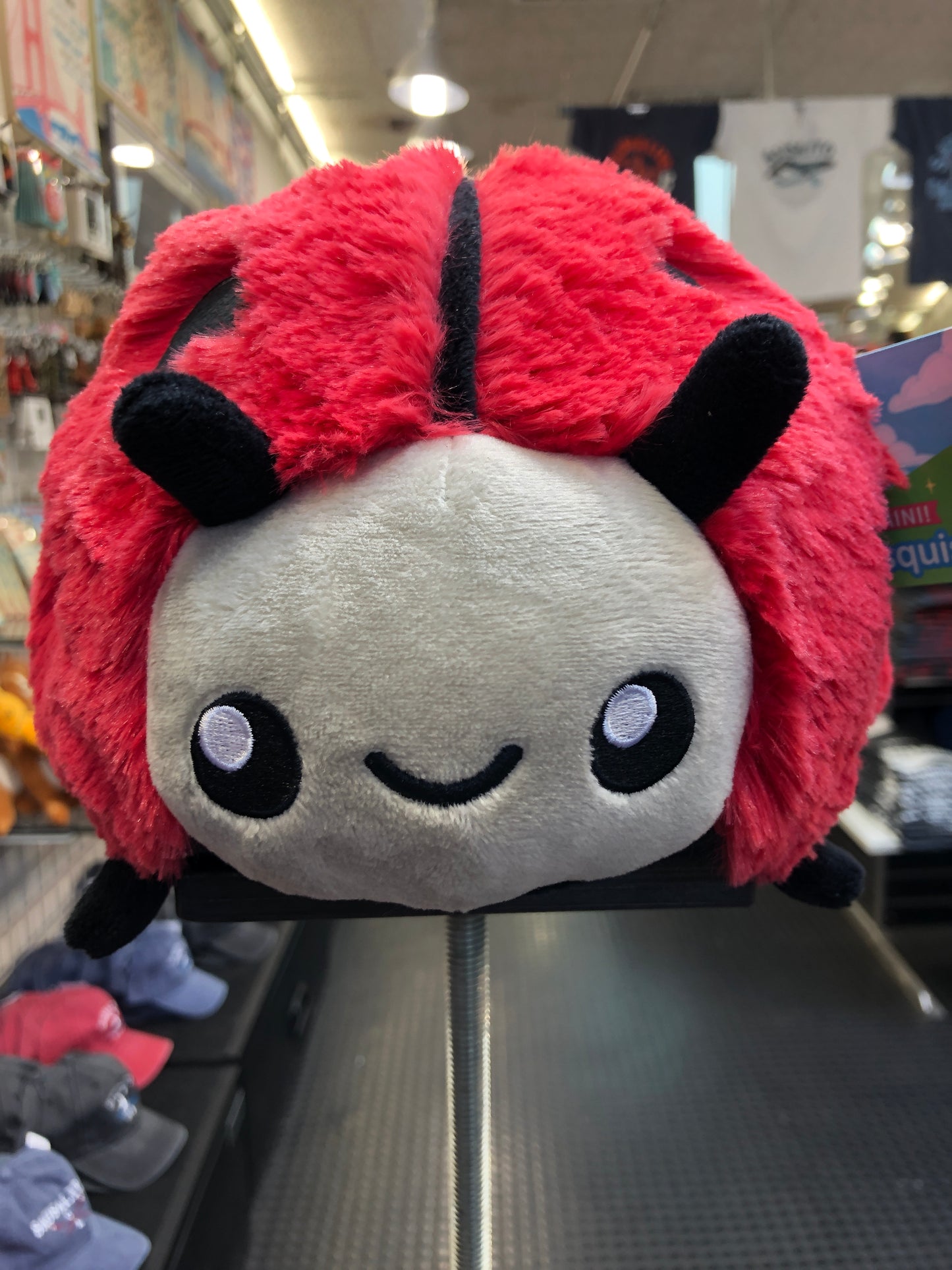 Squishable Mini Ladybug