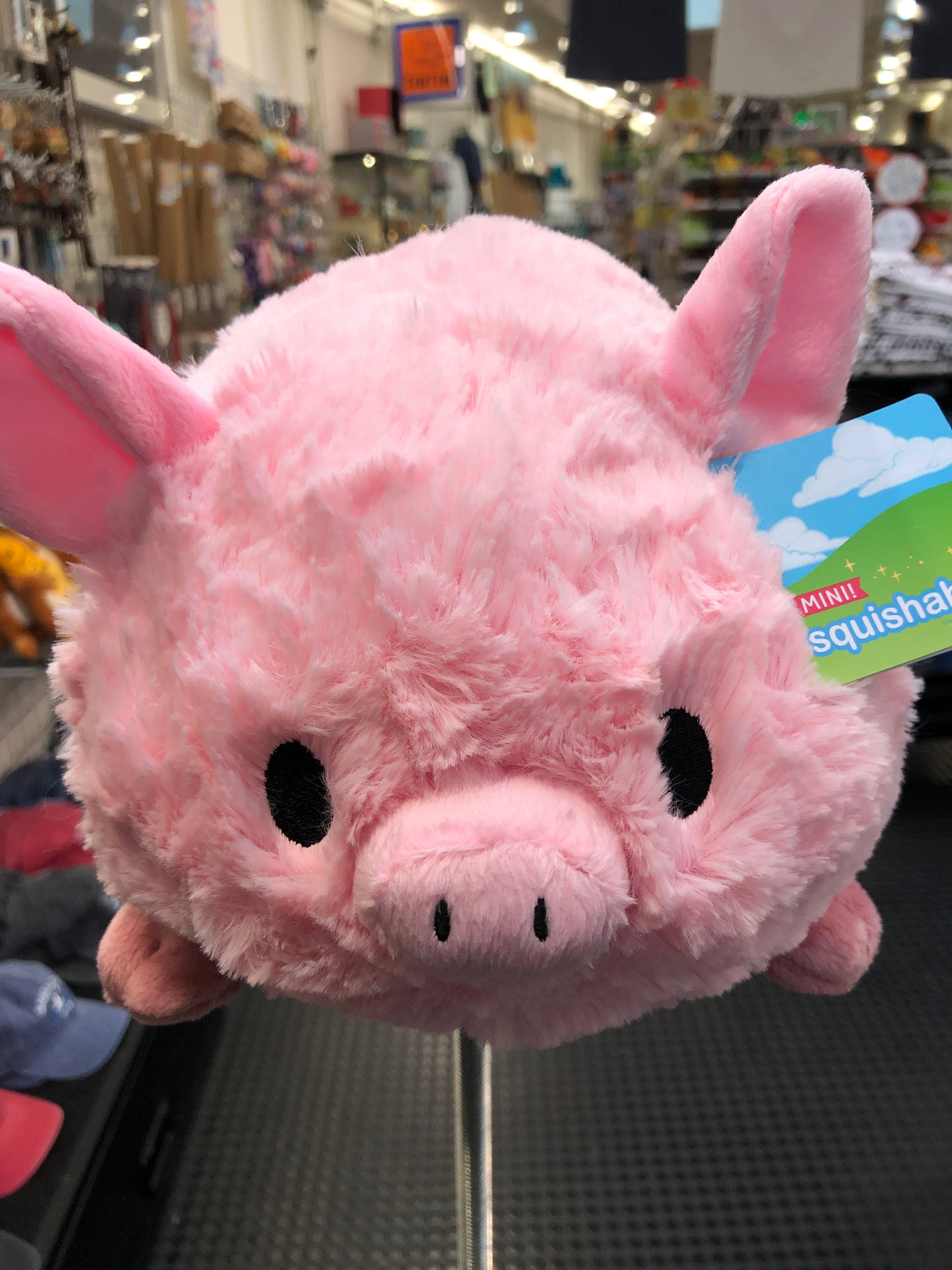 Squishable Mini Piggy