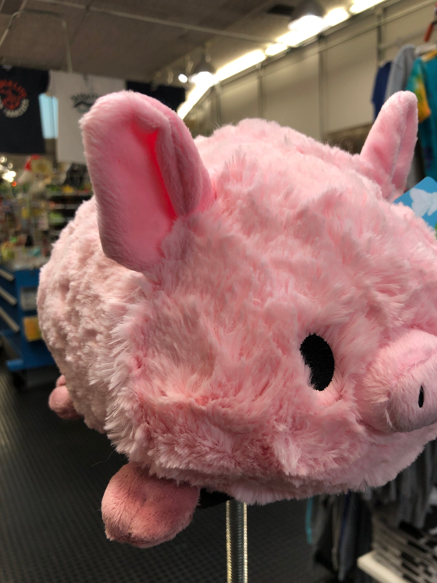 Squishable Mini Piggy