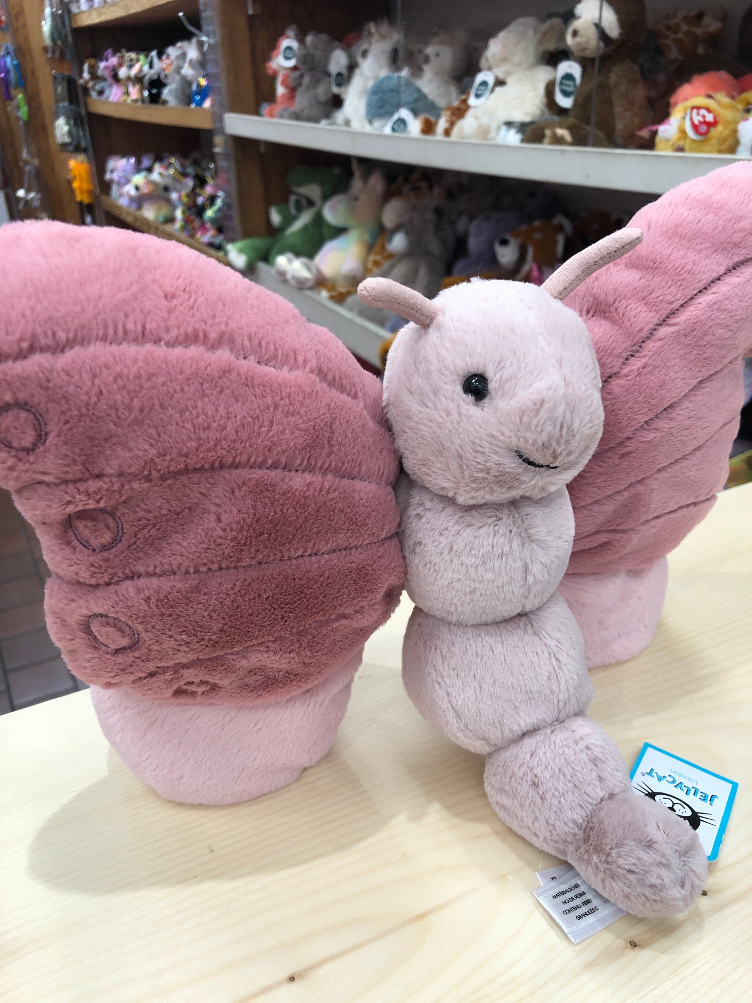 Sea Bunny Stuffed Animal – Butterfly Pavilion