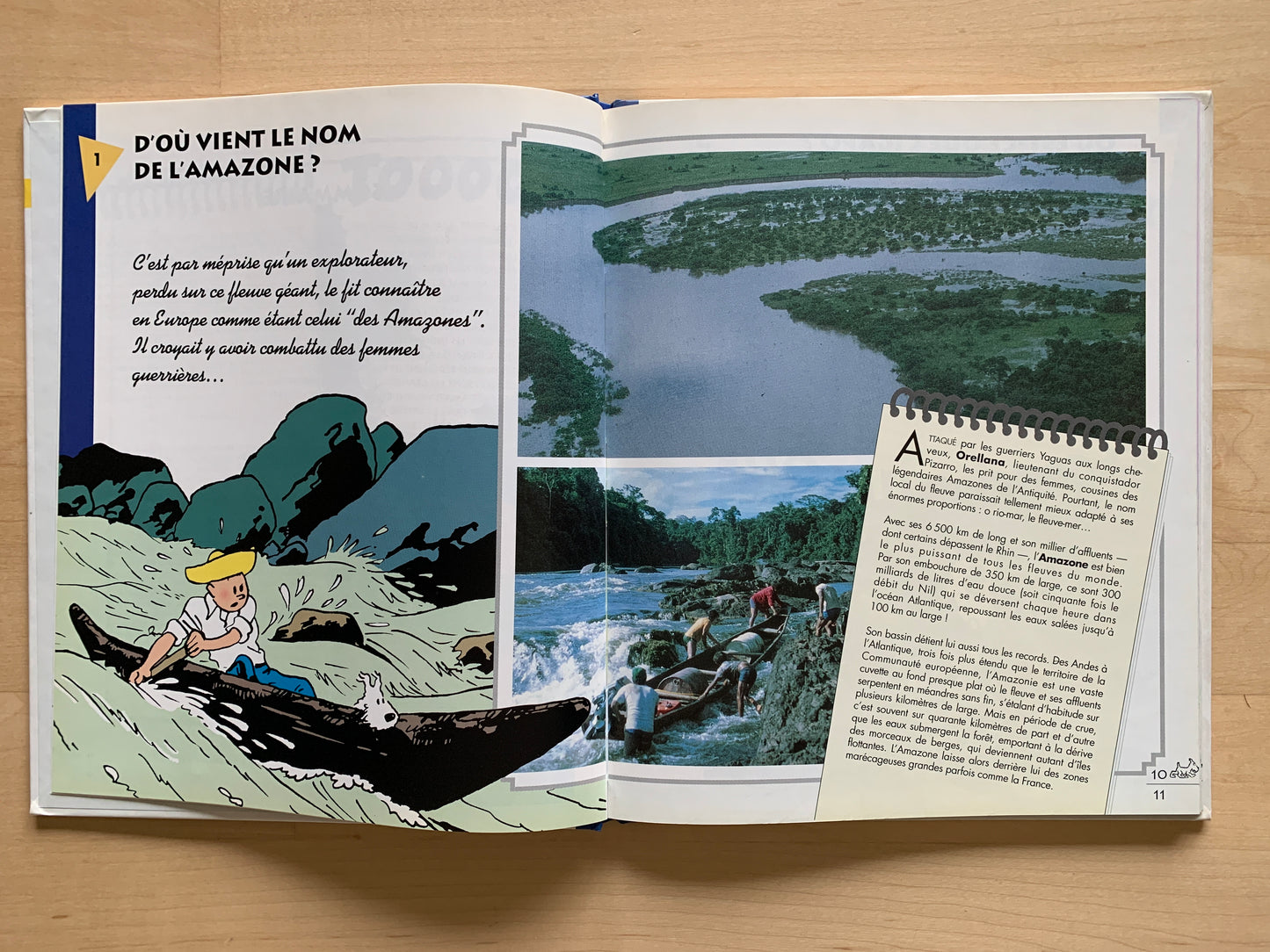 Les Carnets De Route De Tintin L'Amazonie