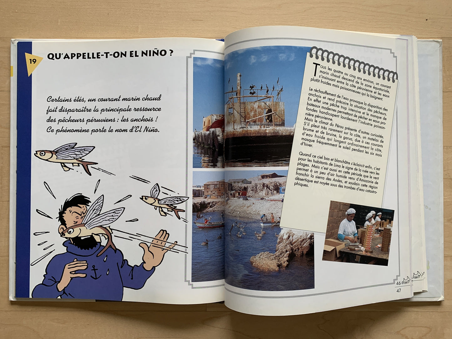 Les Carnets De Route De Tintin Le Perou Et Les Pays Andins