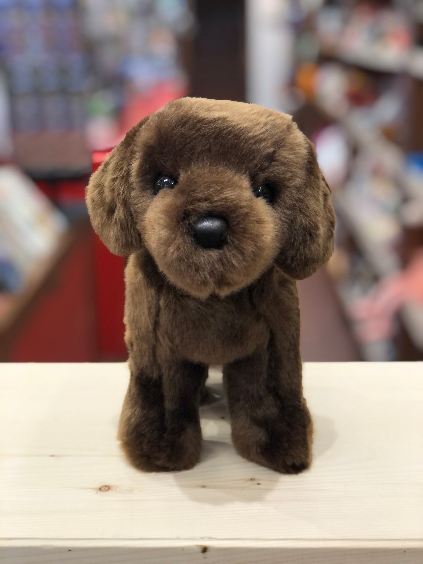 Douglas Tucker Chocolate Lab Plush 10"