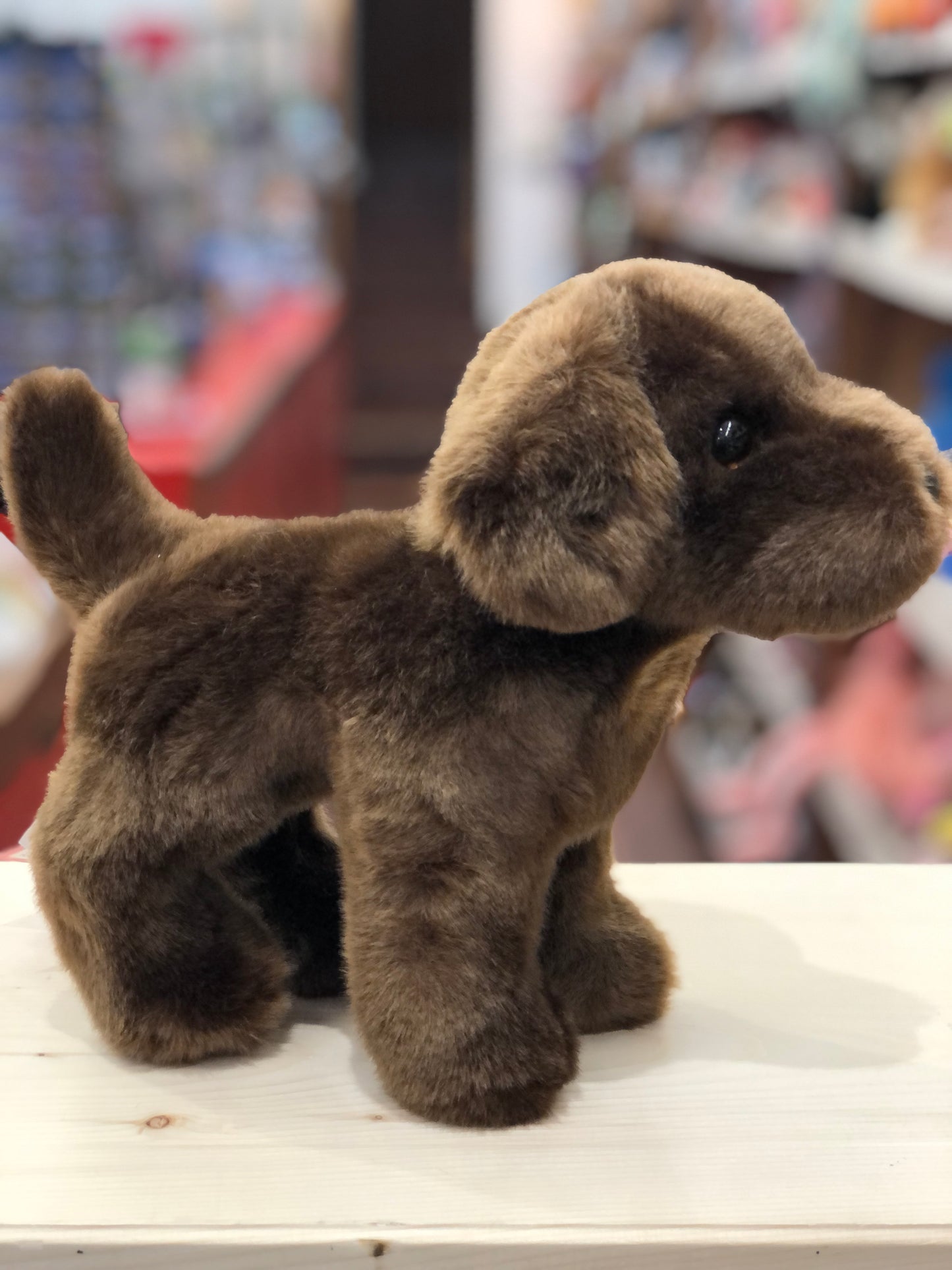 Douglas Tucker Chocolate Lab Plush 10"