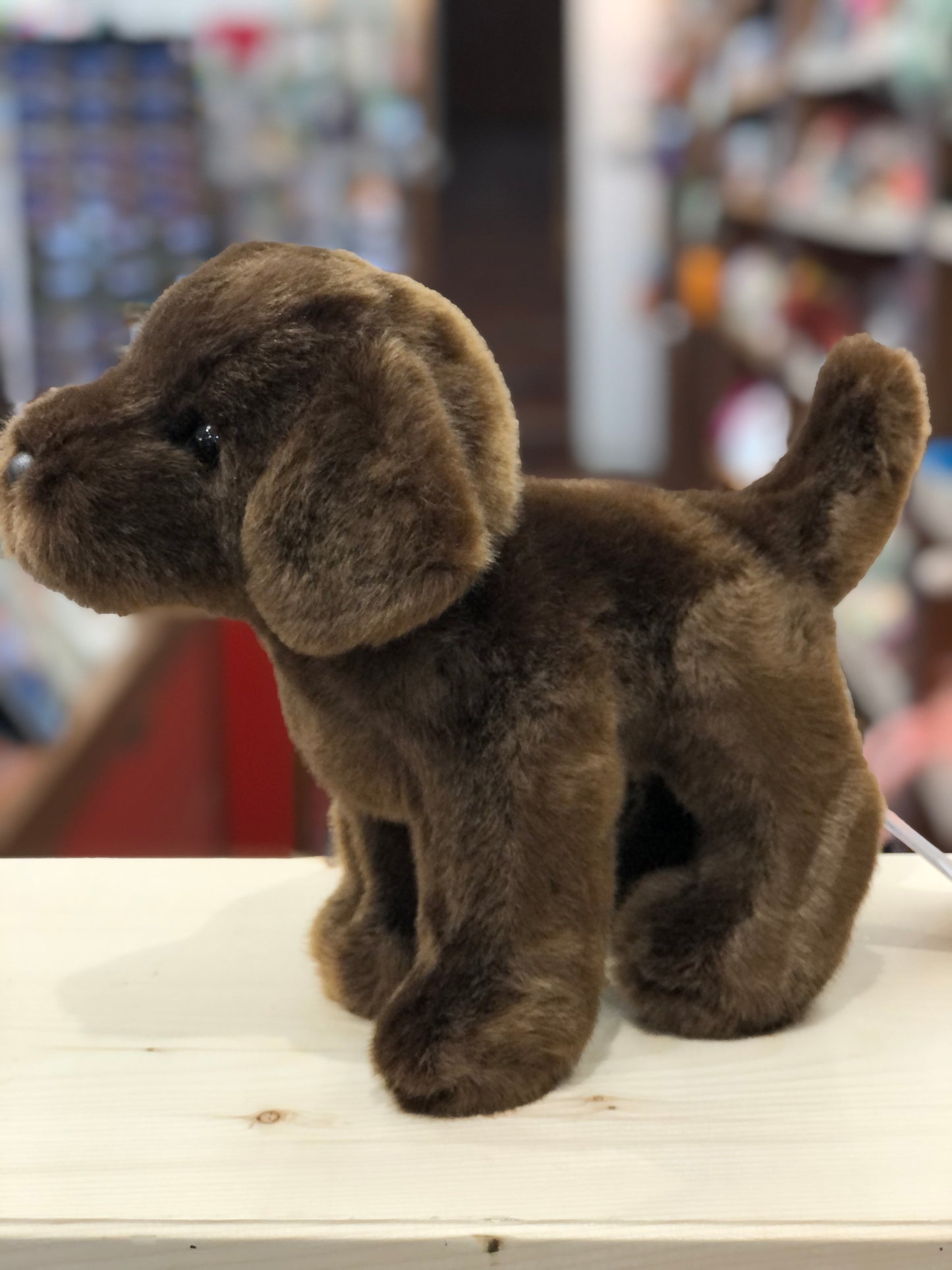 Douglas Tucker Chocolate Lab Plush 10"