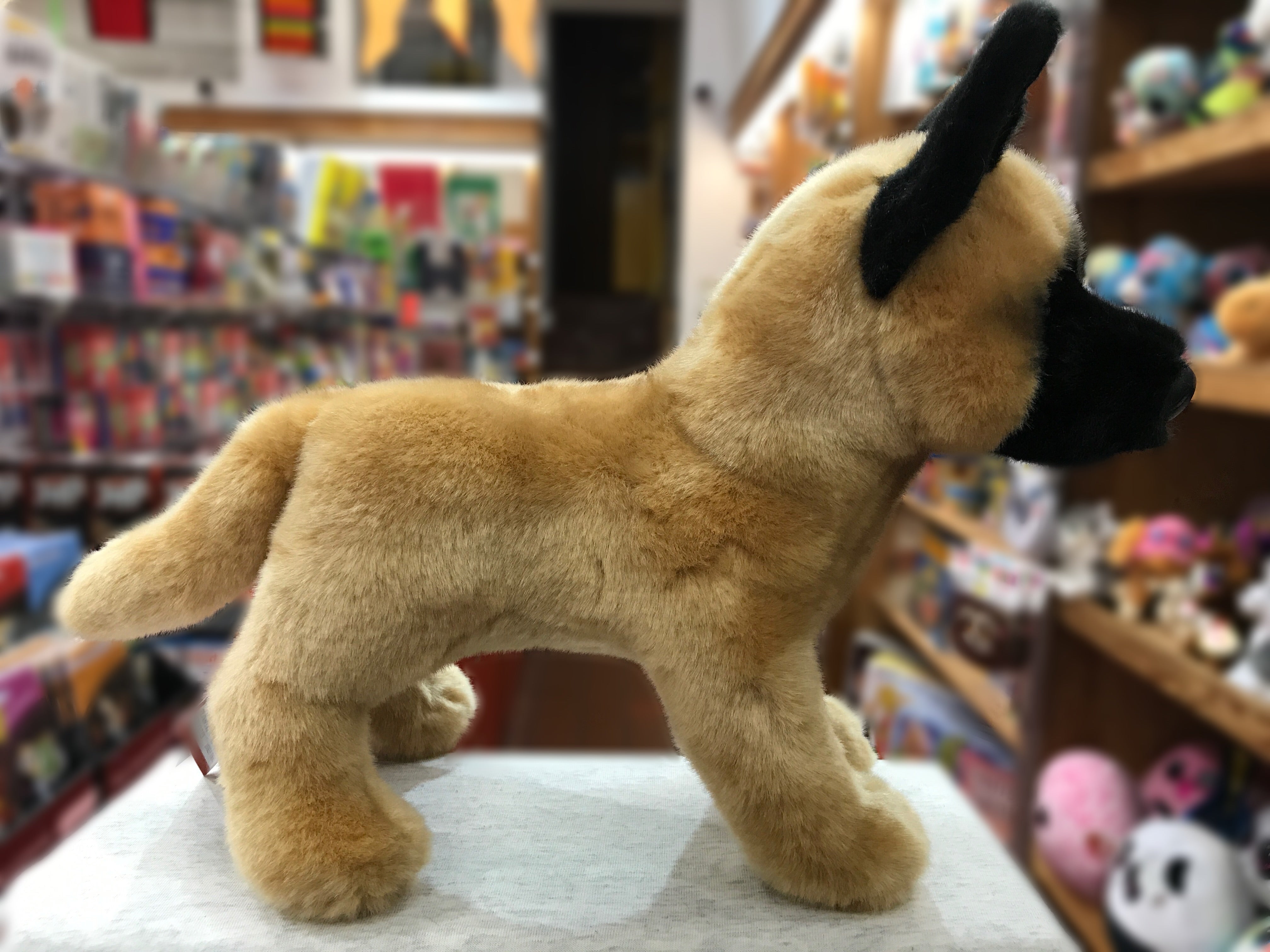 Douglas Klaus Belgian Malinois Dog Plush 12 Sausalito Ferry Co