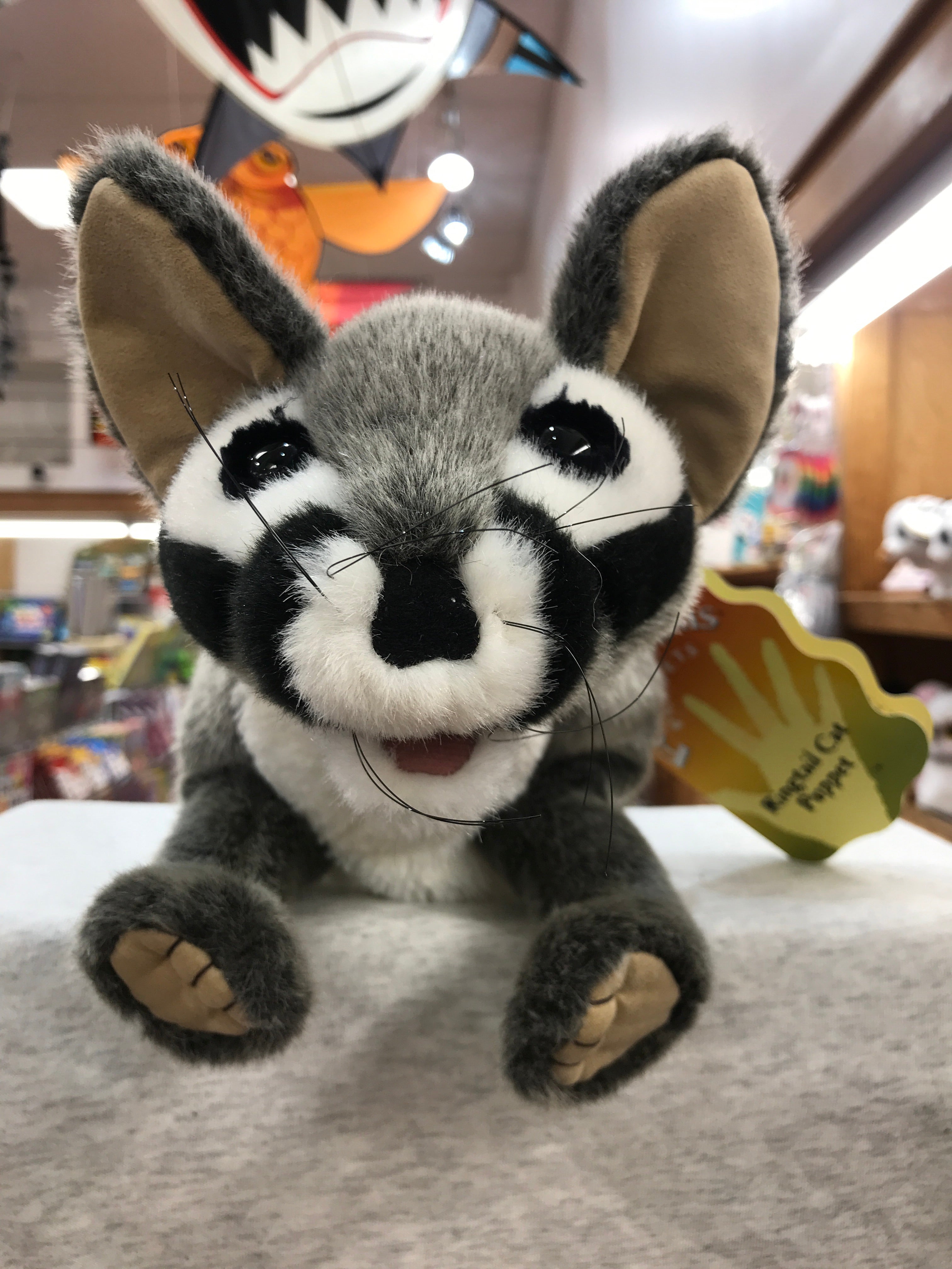 Folkmanis Ringtail Cat Puppet 25” – Sausalito Ferry Co