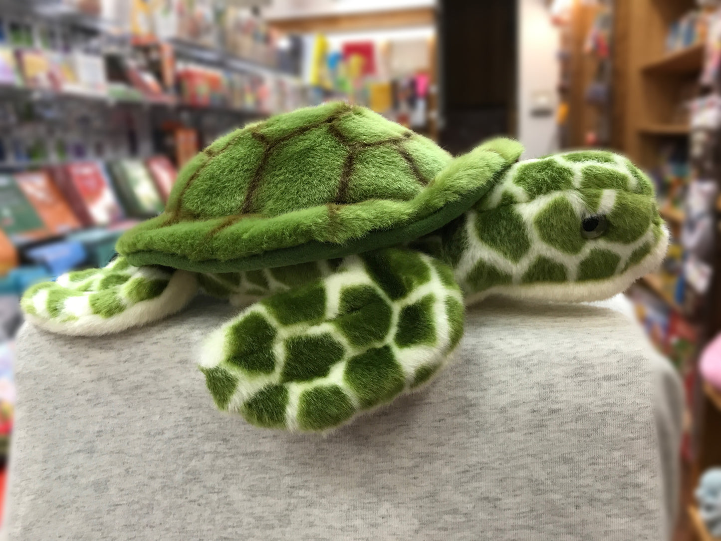 Douglas Toti Turtle Plush 13"