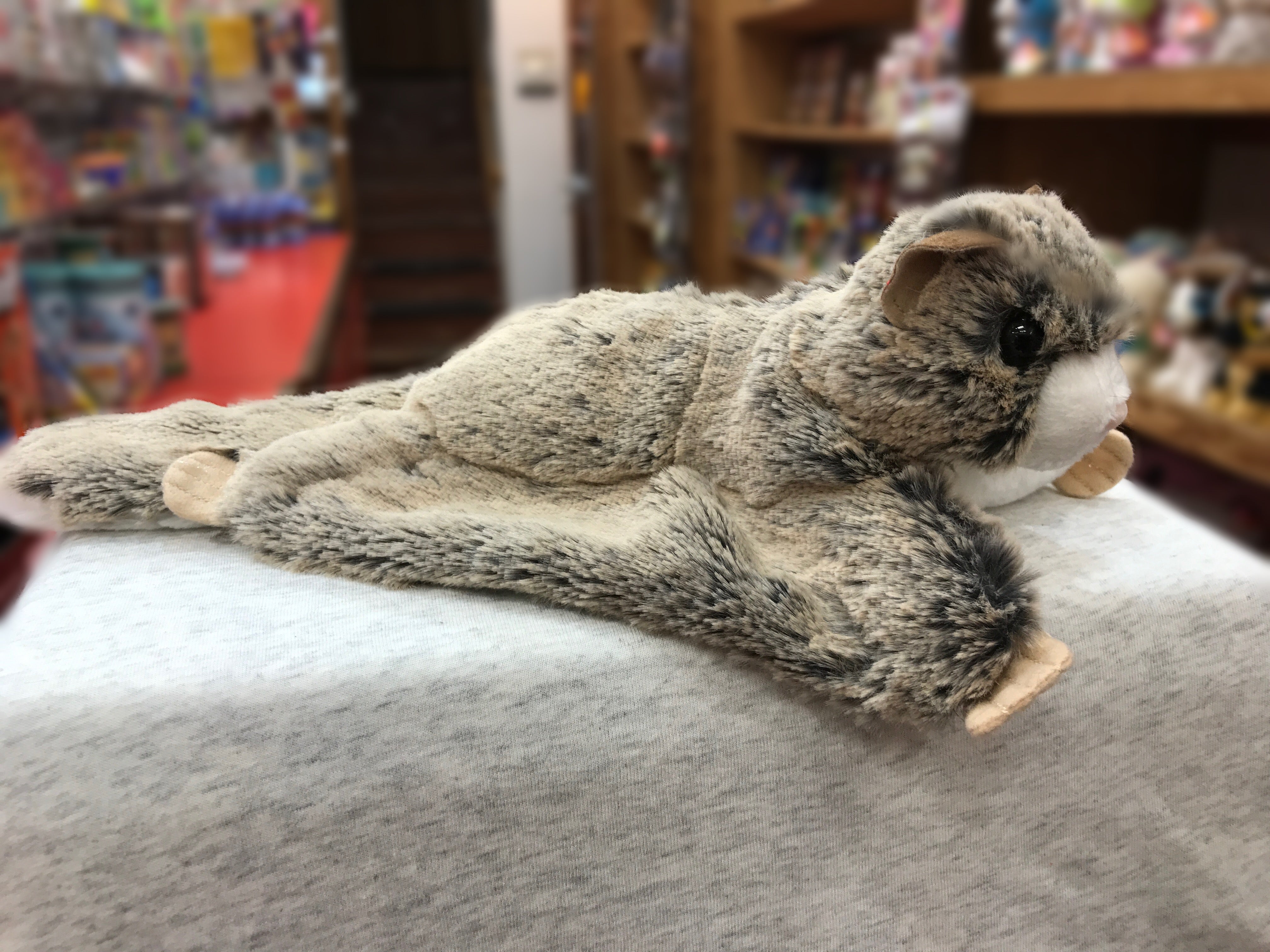 Douglas Jumper Flying Squirrel Plush 10 Sausalito Ferry Co