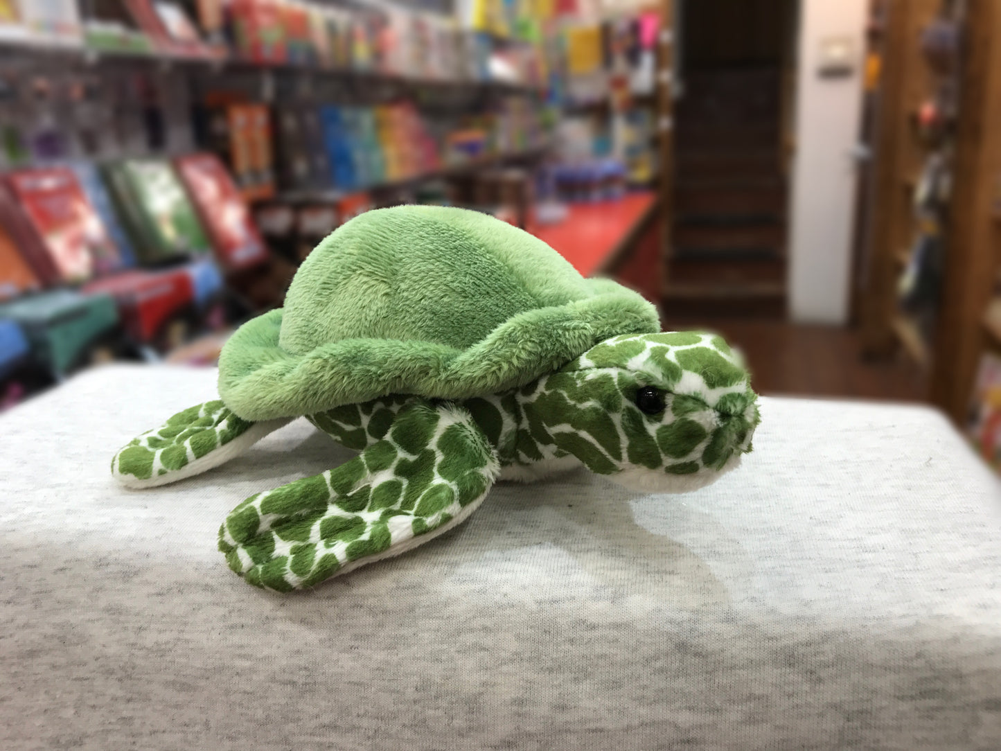 Douglas Tillie Turtle Plush 7"