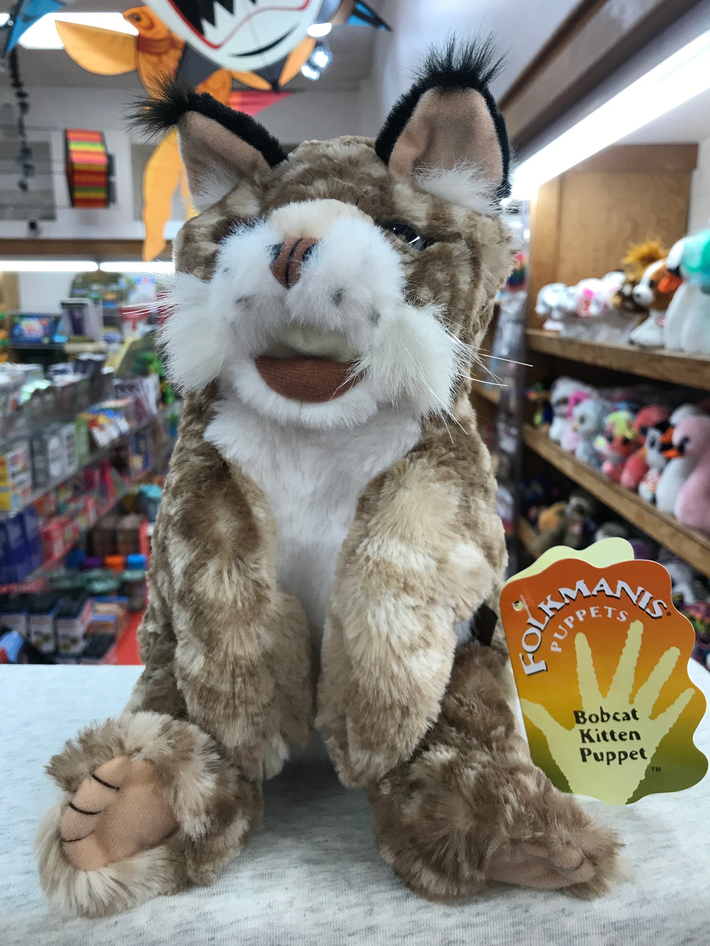 Folkmanis Bobcat Kitten Puppet 9”