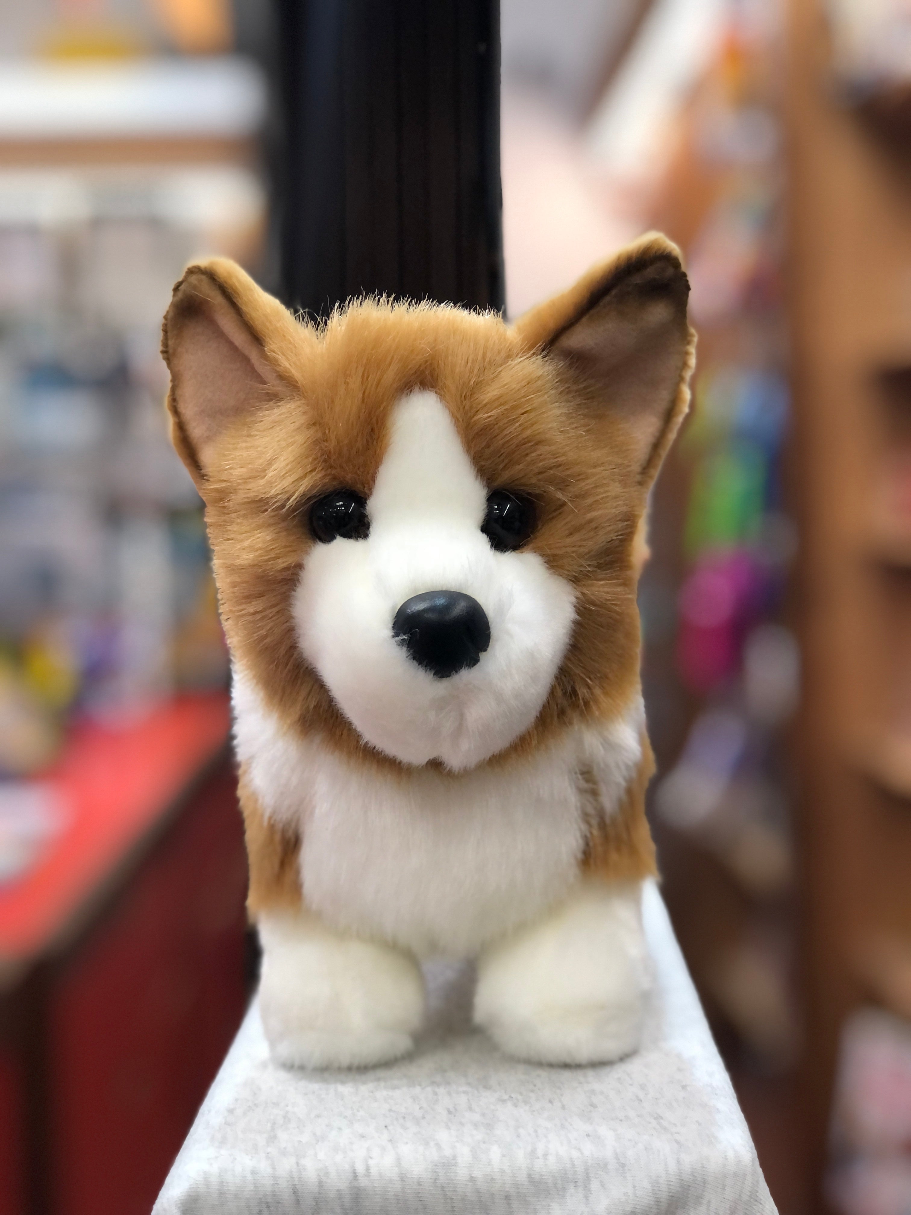 Douglas Louie Corgi Dog Plush Stuffed Animal