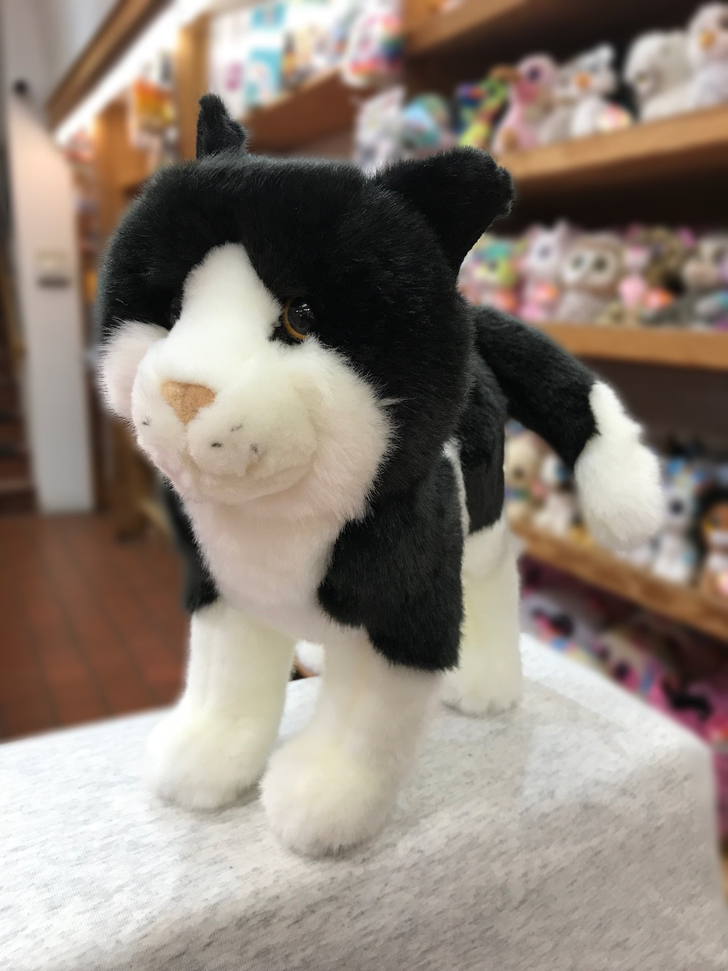 Douglas Scooter Black and White Cat Plush 12"