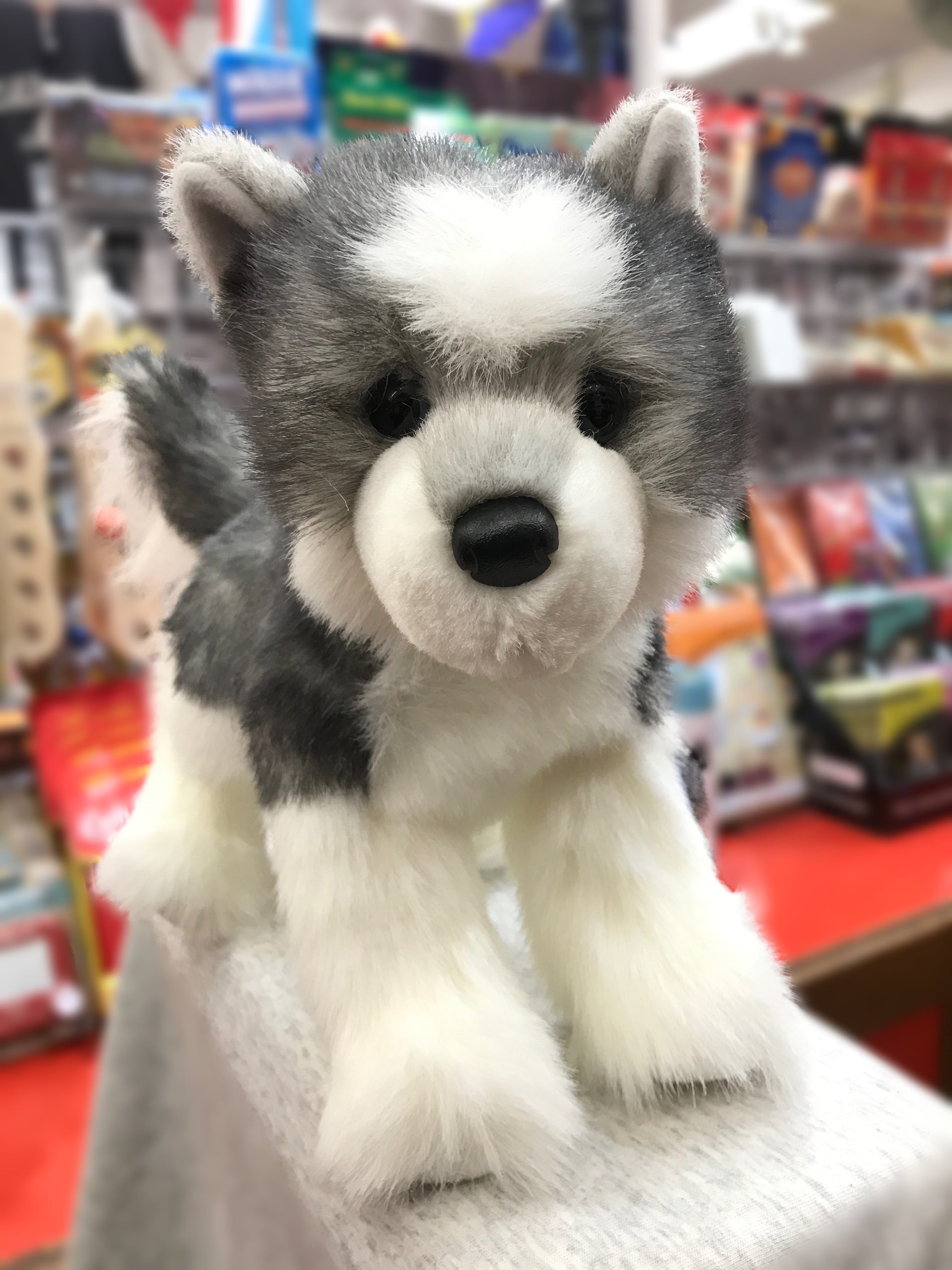 Douglas Cuddle Toys 12 Joli The Husky