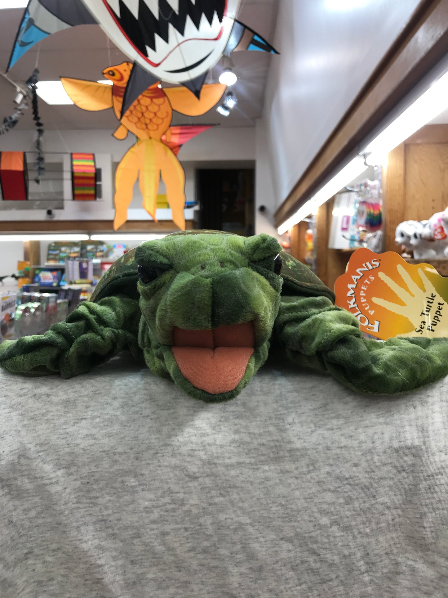 Folkmanis Sea Turtle Puppet 16”